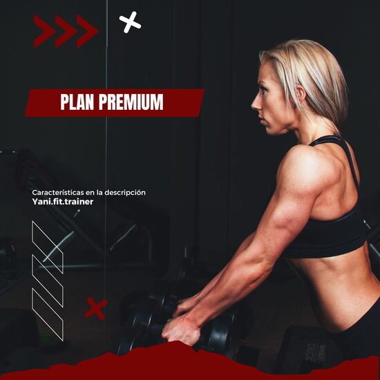 Plan Mensual Premium